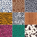 Seamless animal skin pattern Royalty Free Stock Photo