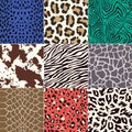 Seamless animal skin pattern