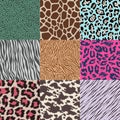 Seamless animal skin pattern Royalty Free Stock Photo