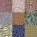 Seamless animal skin pattern