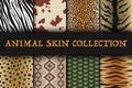 Seamless animal skin patterns set. Safari textile of Giraffe, tiger, zebra, leopard, reptile, cow, snake and jaguar Royalty Free Stock Photo
