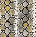 Seamless Animal Snake Skin Ready for Textile Prints. Royalty Free Stock Photo