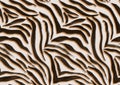 Seamless animal zebra brush strokes pattern ready for fashion textile prints.