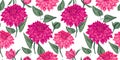 Seamless artistic floral dahlias with leaves pattern on a white background. Vector hand drawn. Beautiful pink rose, rosy flowers