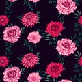 Seamless artistic pattern with flowers peonies, dahlias with leaves. Colorful red, pink floral on a dark black background printing Royalty Free Stock Photo