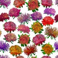 Seamless colorful aster background