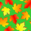 seamless asymmetric pattern of autumn maple leaves on a green background Royalty Free Stock Photo