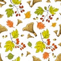 Seamless autumn background with autumn leaves, clusters of hawthorn berries and mushrooms
