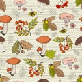 Seamless autumn background with mushrooms, acorns, leaves and rowan fruits