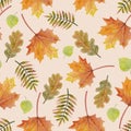 Seamless autumn background. Spring and summer tree leaves. Floral design in watercolor style: orange, yellow, brown red green rowa Royalty Free Stock Photo