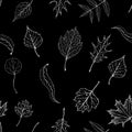 Seamless autumn chalk leaves pattern on black chalkboard. fall leaves endless background. foliage silhouettes chalk sketch drawn