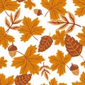 Seamless autumn leaf pattern with acorns and fall foliage on white background Royalty Free Stock Photo