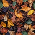 Seamless. Autumn leaves on the ground Royalty Free Stock Photo