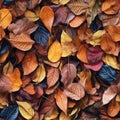 Seamless. Autumn leaves on the ground Royalty Free Stock Photo