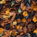 Seamless. Autumn leaves on the ground Royalty Free Stock Photo