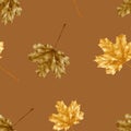 Seamless Autumn leaves water colour on brown background, Dry maples leaves in brown and gold colour pattern for Autumnal Royalty Free Stock Photo