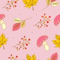 Autumn Pattern on a pink background. Amanita, mountain ash and leaves with outline.