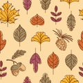 Seamless autumn pattern. Colorful leaves. Maple, ginkgo biloba, linden, lilac, mountain ash. Acorn and cedar cone. In