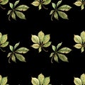 Seamless autumn pattern light green carved fallen chestnut leaves. Hand-drawn watercolor illustration. Royalty Free Stock Photo