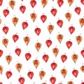 Seamless autumn pattern with physalis. Watercolor physalis pattern.