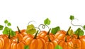Seamless autumn pumpkin border