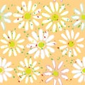 Seamless background with abstract chamomile