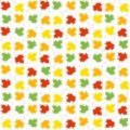 Seamless background with autumn leaves Royalty Free Stock Photo