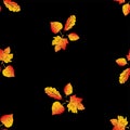 Seamless background of autumn leaves various deciduous trees