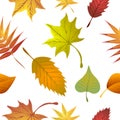 Seamless background with autumn leaves.