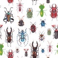 Seamless background with beetles