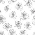 Seamless background with black line white Alstroemeria flowers. Hand-drawn vector Illustration. Royalty Free Stock Photo
