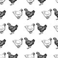 Pattern of the drawn hens