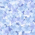 Seamless background with blue hydrangea flowers. Vector illustration. Royalty Free Stock Photo