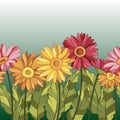 2534 background, seamless background, border with daisy flowers, gerberas, vector illustrations in bright colors Royalty Free Stock Photo