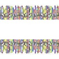 Multicolored seamless border with skis