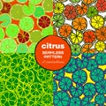 Pattern with bright citrus fruit.