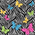 Seamless background. butterflies on animal zebra abstract print.ÃÅ
