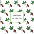 Seamless background Cacao branch with fruits.