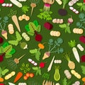 Seamless background with carrot, Beetroot, Celery, Parsley, Daikon, Parsnip, Rutabaga, Turnip, Yellow turnip, Arracacha