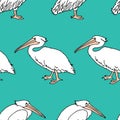Seamless background of cartoon pelicans