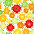 Seamless background with citrus fruits.