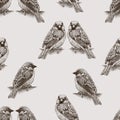 Seamless background of the city sparrows