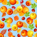 Seamless background with colorful autumn apples and leaves. Vector illustration. Royalty Free Stock Photo