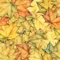 Seamless background with colorful yellow autumn maple leaves Royalty Free Stock Photo