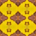 Background created from moth wings Royalty Free Stock Photo