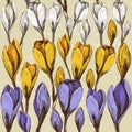 Seamless background with crocus flowers
