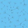 Seamless background from a dandelion. Royalty Free Stock Photo