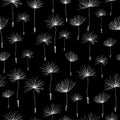 Seamless background of the dandelions seeds