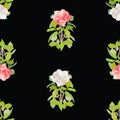 Seamless background of delicate red and white garden roses Royalty Free Stock Photo