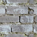 Seamless background - dirty moldy brick wall